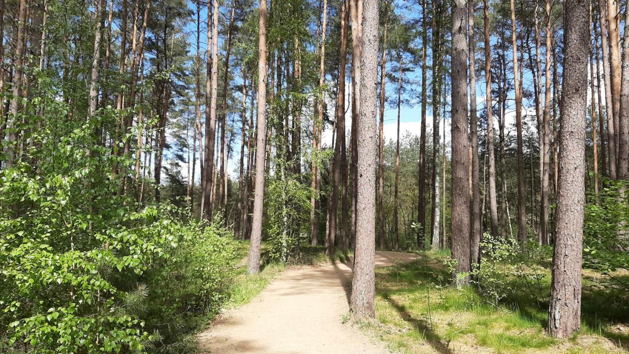 Forest Rooms Bad Bevensen Exterior foto